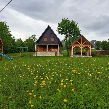 Vila Durmitor Nest Krstajic جابلياك المظهر الخارجي الصورة