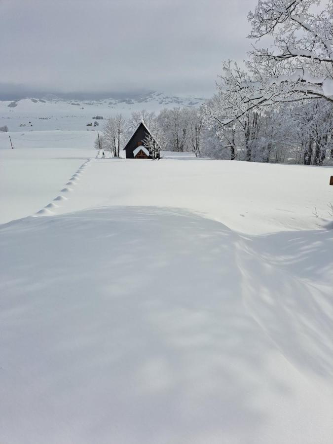 Vila Durmitor Nest Krstajic جابلياك المظهر الخارجي الصورة